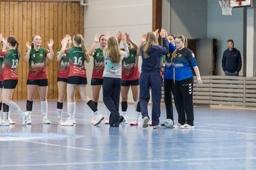 Bild 2 - wBJ HSG Kremperheide/Muensterdorf - HSG Joerl-Doppeleiche Vioel : Ergebnis: 34:23